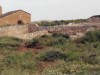 Bild 24