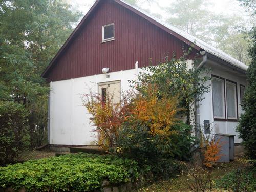 Feriehus - 3 personer -  - Ahornallee - 15848 - Friedland