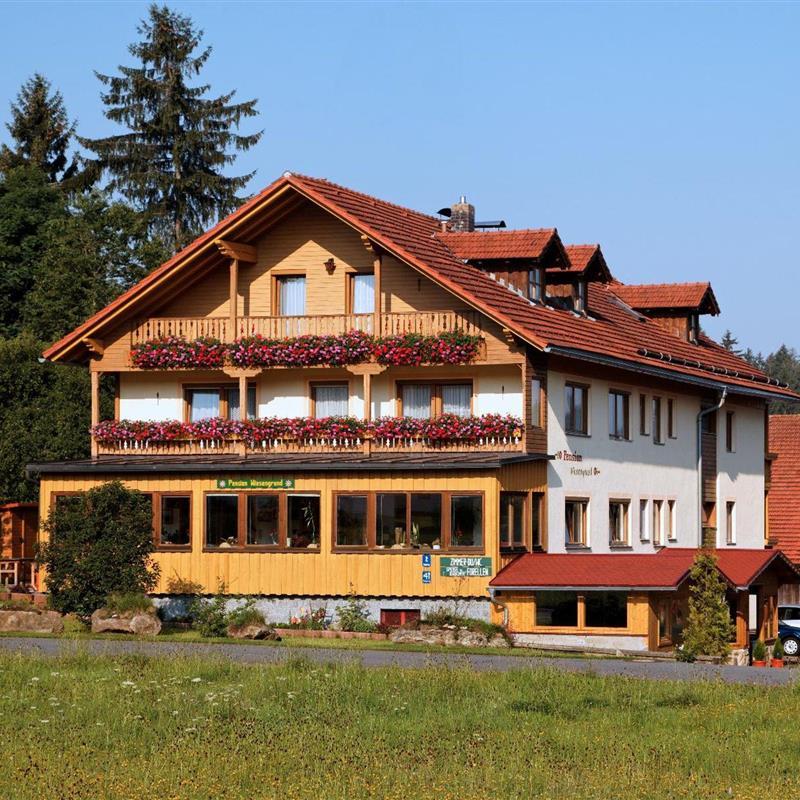  - 1 person -  - Tempelweg - 94556 - Neuschönau