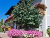 Bild 17