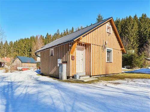 Sommerhus - 4 personer -  - Harrachov - 512 46