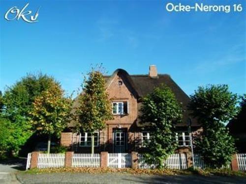 Feriehus - 4 personer -  - Ocke-Nerong-Straße - 25938 - Wyk-Boldixum