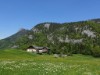 Bilde 1
