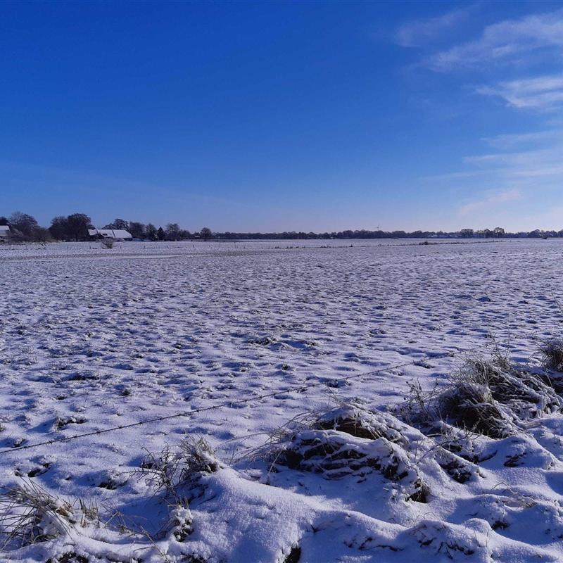 Ferielejlighed - 6 personer -  - Alter Postweg - 26624 - Südbrookmerland