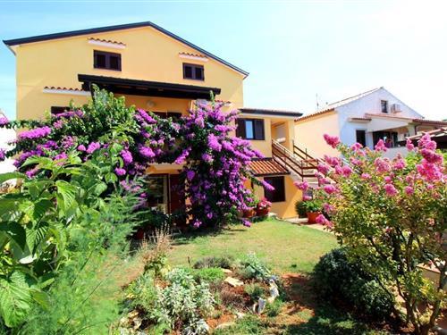 Holiday Home/Apartment - 3 persons -  - Ulica Veli Joze - 52440 - Porec