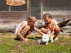 Bild 17