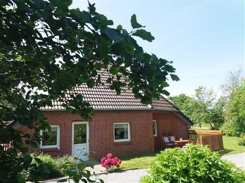 Sommerhus - 2 personer -  - Kaiserin-Auguste-Viktoria-Koog - 25718 - Friedrichskoog / Ort