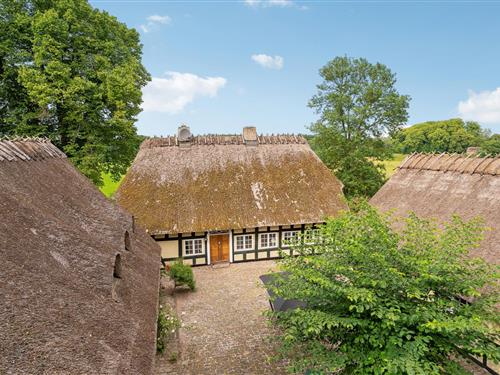 Ferienhaus - 12 Personen -  - Slots Alle - Aa Strand - 5631 - Ebberup
