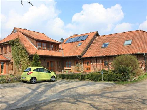 Holiday Home/Apartment - 4 persons -  - Grenzweg - 29699 - Bomlitz