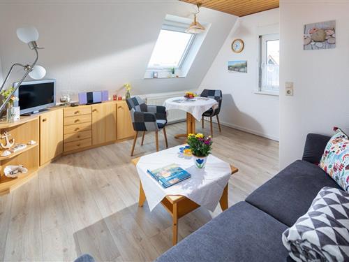 Ferienhaus - 2 Personen -  - Kiefernweg - 26548 - Norderney