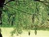 Bilde 5