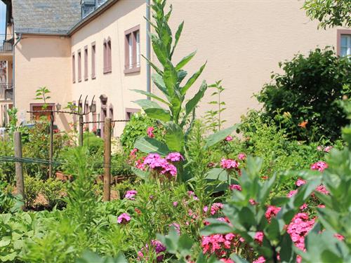 Ferieleilighet - 3 personer -  - Kapellenweg - 54649 - Lauperath