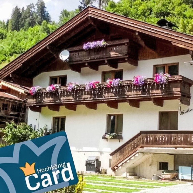 Ferielejlighed - 4 personer -  - 5505 - Mühlbach Am Hochkönig