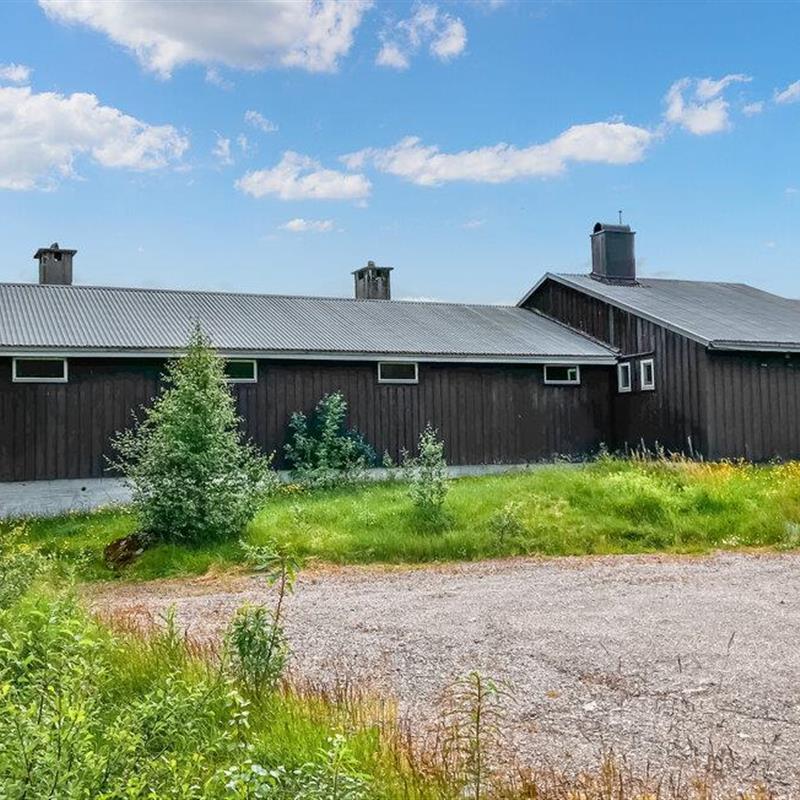 Ferielejlighed - 3 personer -  - Sinnesliveien 32 Hybel - Tjørhom/Sirdal - 4443 - Tjørhom