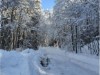 Bilde 17