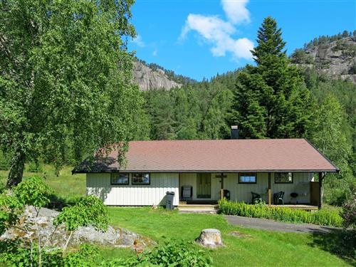 Holiday home - 6 persons -  - Treungen - 3855