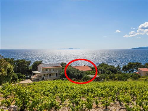 Holiday apartment - 8 persons -  - Dingac - Borak - 20244 - Potomje