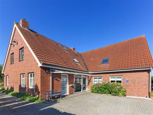 Holiday Home/Apartment - 4 persons -  - Großholum-West - 26427 - Neuharlingersiel