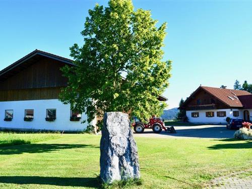 Holiday Home/Apartment - 5 persons -  - Allmannsried - 88175 - Scheidegg