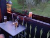 Bild 37