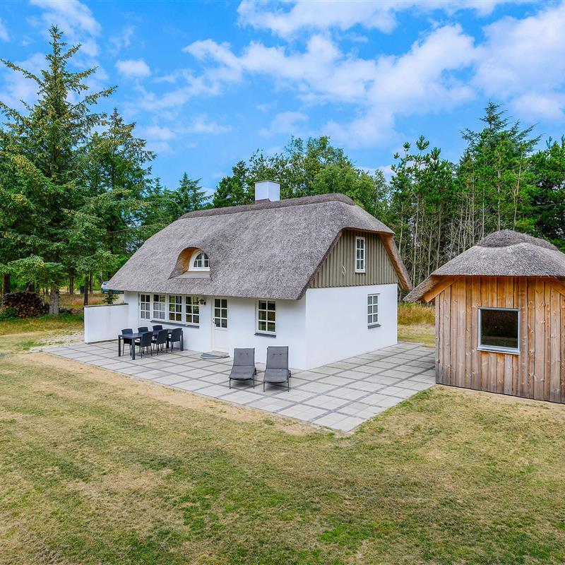 Sommerhus - 6 personer -  - Øhusevej - Vedersø Klit - 6990 - Ulfborg