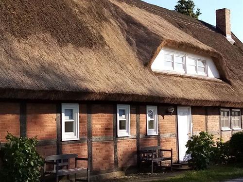 Semesterhus/Semesterlägenhet - 6 personer -  - Freudenberg - 18574 - Garz