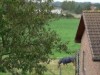 Bilde 5