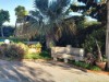 Image 33 - Outside