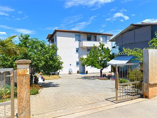 Holiday apartment - 3 persons -  - Štinjan - 52100 - Štinjan