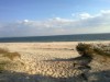 Bild 50