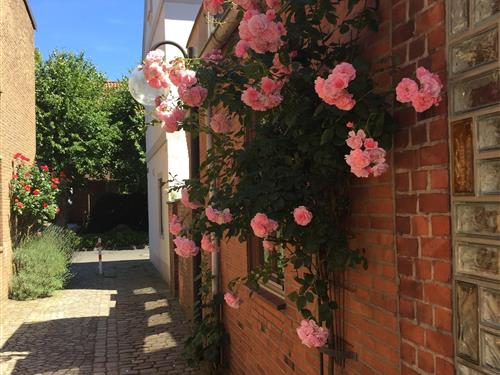 Feriehus - 5 personer -  - Hassgang - 24340 - Eckernförde