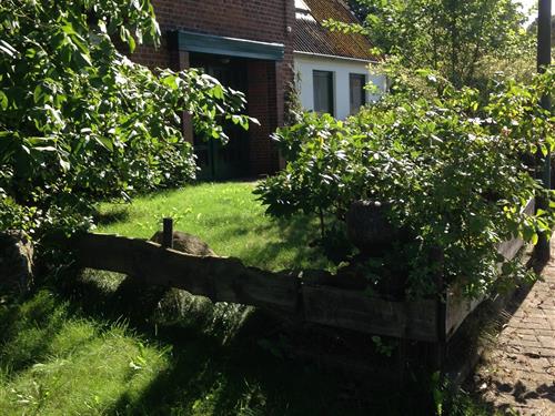 Feriehus - 6 personer -  - Möhlenbarg - 24794 - Bünsdorf