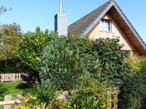 Fritidshus - 5 personer -  - 27639 - Wurster Nordseeküste, Dorum- Neufeld