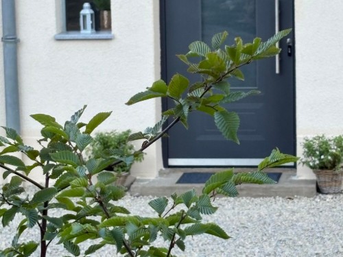 Ferielejlighed - 2 personer -  - Kapellenstraße - 66706 - Perl