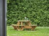 Billede 22 - Grund