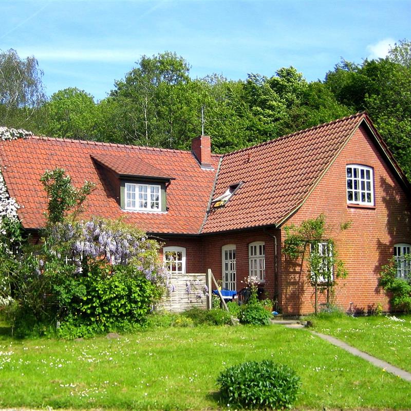 Ferielejlighed - 3 personer -  - Kuhholz - 24392 - Nottfeld