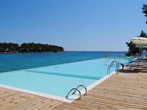 Holiday apartment - 4 persons -  - Crvena luka - 23210 - Biograd