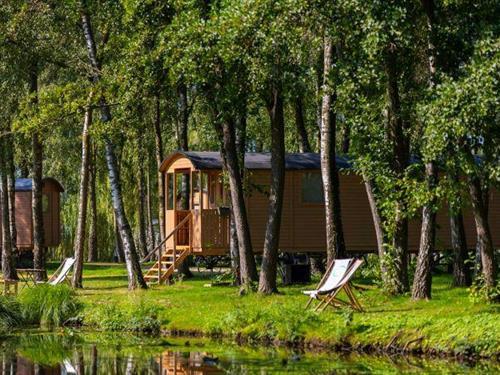 Fritidshus - 2 personer -  - 3640 - Kinrooi