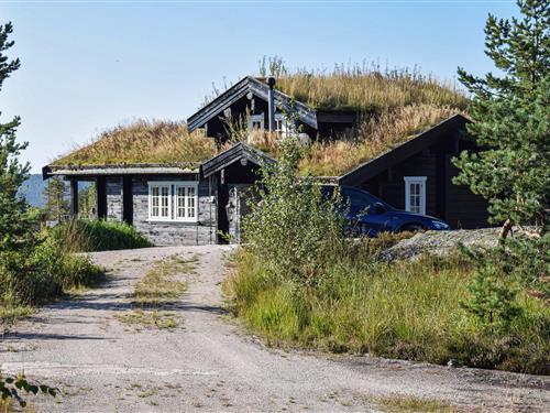 Sommerhus - 11 personer -  - Kvarvåsvegen - Gautefall/Øverlandsheia - 3855 - Treungen