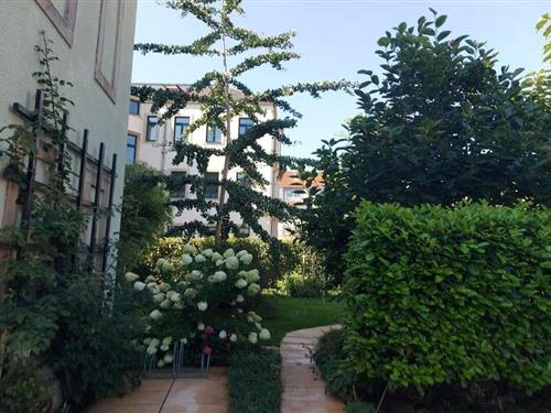 Sommerhus - 6 personer -  - 01279 - Dresden