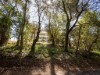 Image 18 - Outside