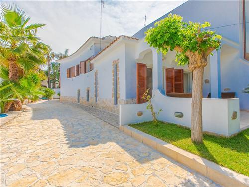 Feriehus - 5 personer -  - Carovigno - 72012