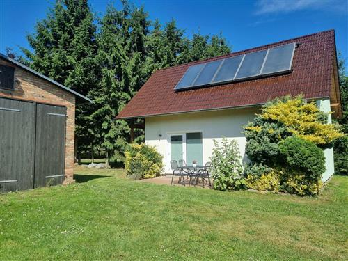 Ferielejlighed - 4 personer -  - Wiesenstraße - 17419 - Dargen / Görke