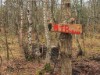 Bild 24 - Utsikt