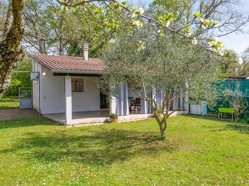 Ferienhaus - 3 Personen -  - Pineta III ogranak - Fazana- Valbandon - 52100 - Valbandon