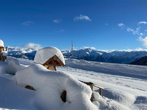 Holiday apartment - 3 persons -  - 6277 - Zellberg