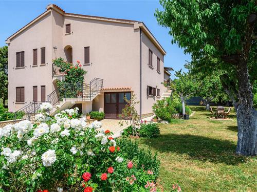 Holiday apartment - 3 persons -  - 52440 - Dracevac