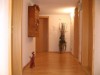 Bild 41