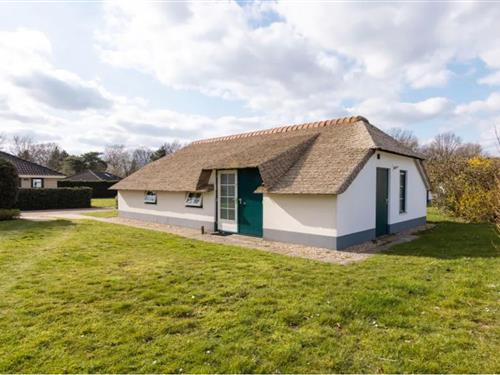 Holiday home - 6 persons -  - 3881PD - Putten