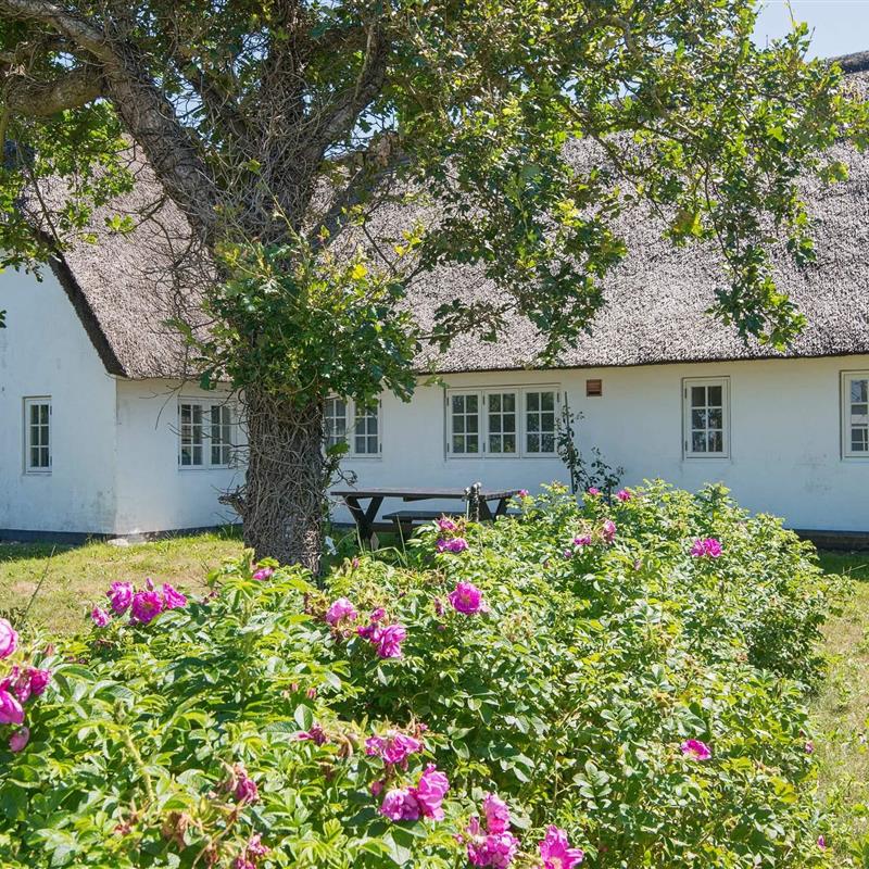 Sommerhus - 7 personer -  - Vesterende - Ballum - 6261 - Bredebro